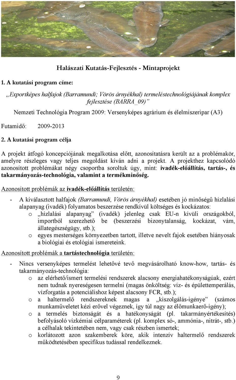 tt, azonosítatásra került az a problémakör, amelyre részleges vagy teljes megoldást kíván adni a projekt.