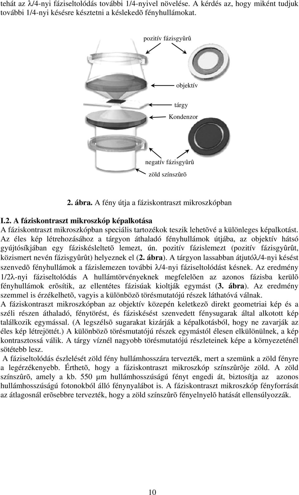 ábra. A fény útja a fáziskontraszt mikroszkópban I.2. A fáziskontraszt mikroszkóp képalkotása A fáziskontraszt mikroszkópban speciális tartozékok teszik lehetõvé a különleges képalkotást.