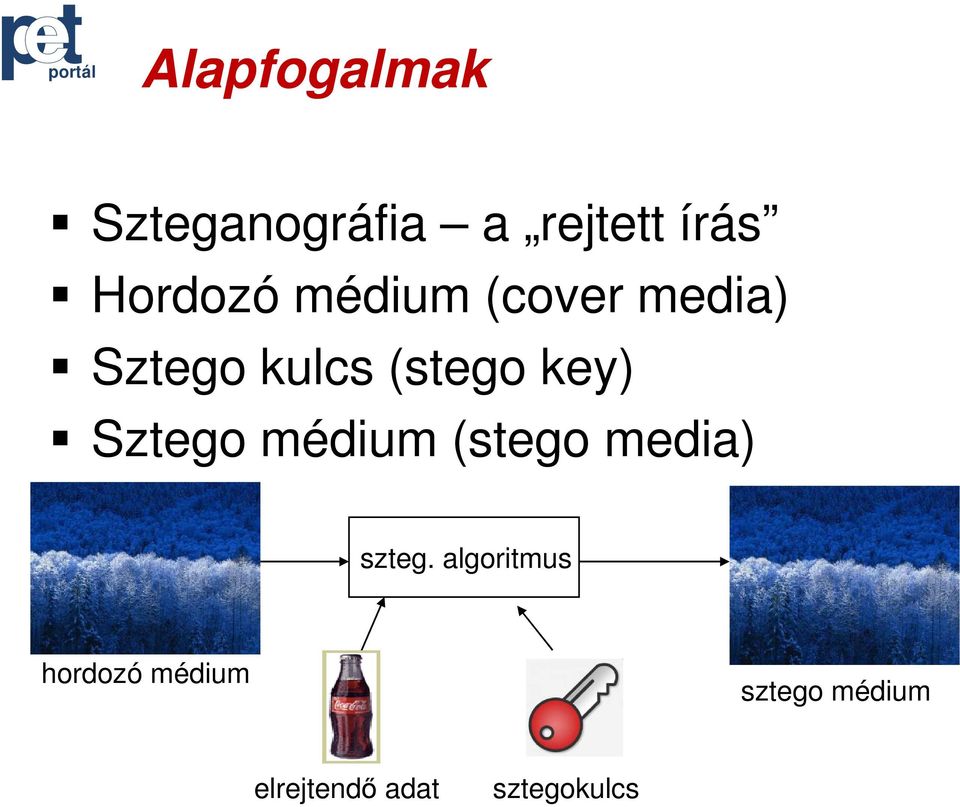 key) Sztego médium (stego media) szteg.