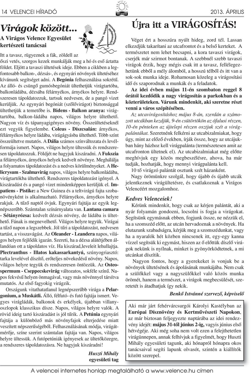 Az álló- és csüngő gumósbegóniát ültethetjük virágtartóba, balkonládába, dézsába félárnyékos, árnyékos helyre. Rendszeresen tápoldatozzuk, tartsuk nedvesen, de a pangó vizet kerüljük.