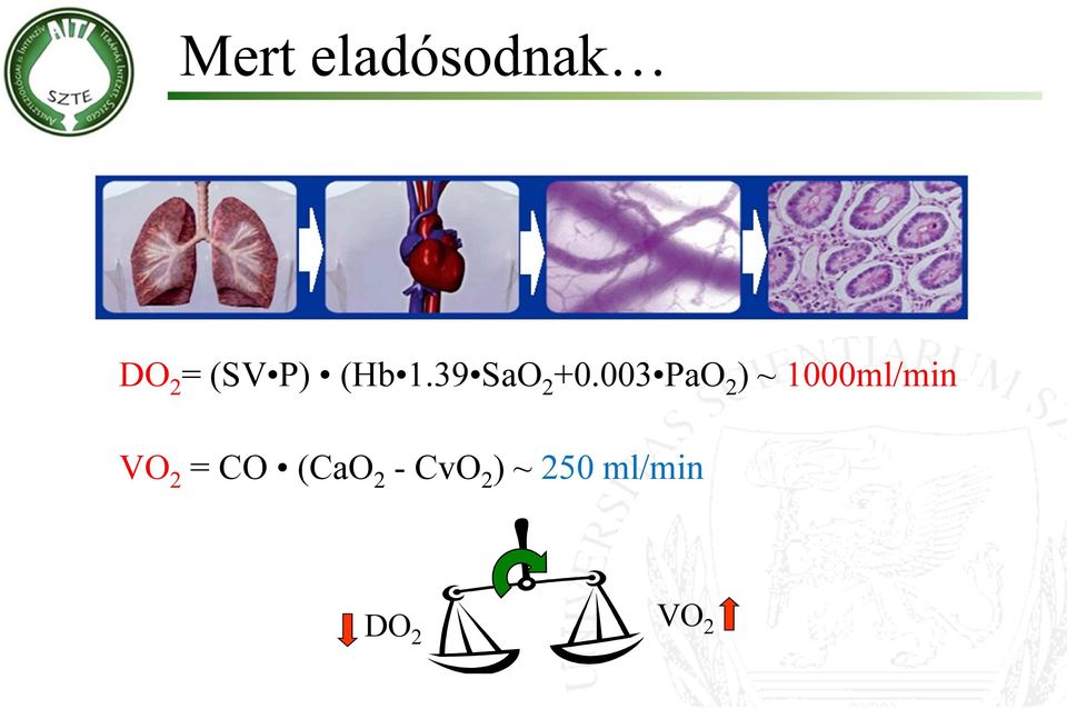 003 PaO 2 ) ~ 1000ml/min VO 2