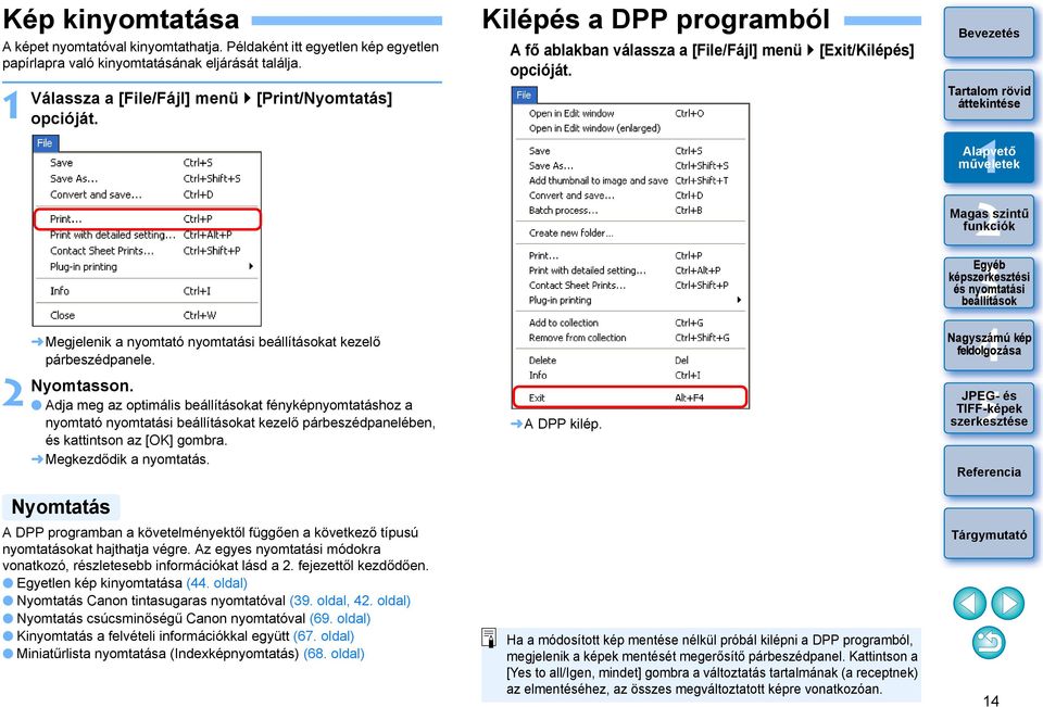 Megkezdődik a nyomtatás. Nyomtatás A DPP programban a követelményektől függően a következő típusú nyomtatásokat hajthatja végre.