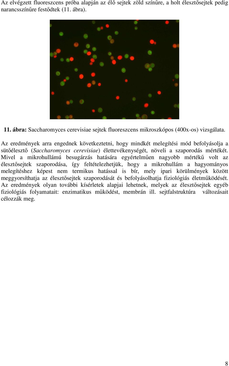 Az eredmények arra engednek következtetni, hogy mindkét melegítési mód befolyásolja a sütıélesztı (Saccharomyces cerevisiae) élettevékenységét, növeli a szaporodás mértékét.