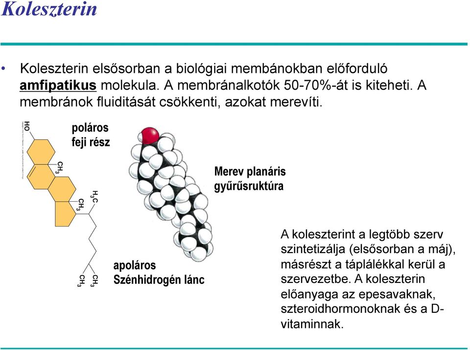 poláros feji rész mon csoport 3 csoport 3 csoport atomból álló c apoláros Szénhidrogén lánc Merev planáris gyűrűsruktúra A