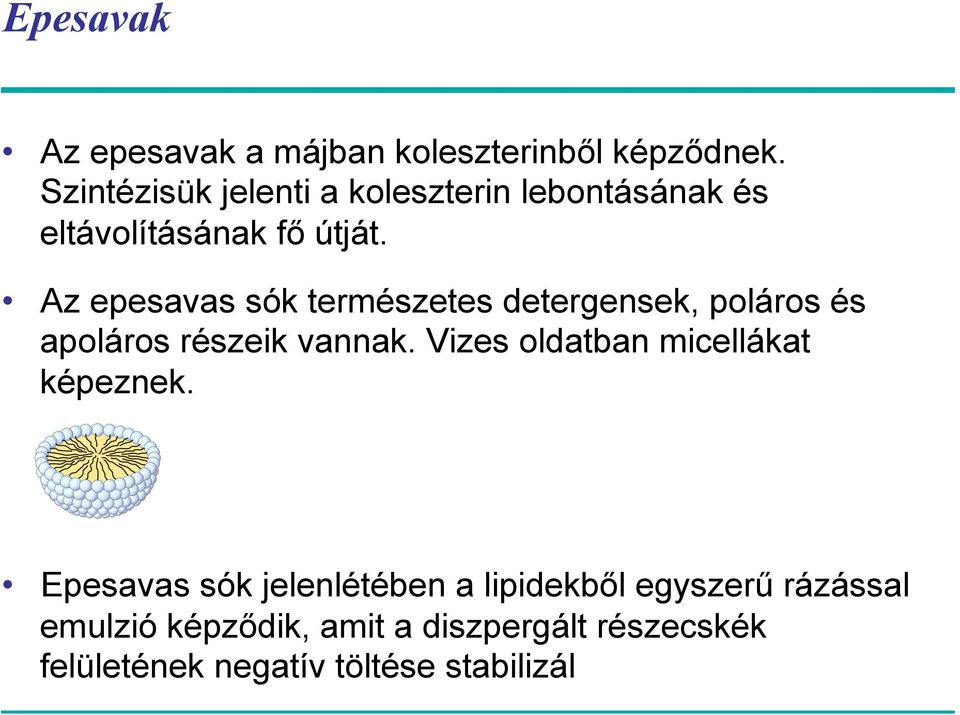 When a suspension of phospholipids is mechanically Epesavak dispersed in aqueous solution, the phospholipids aggregate into one of three forms: spherical micelles and liposomes and sheetlike,