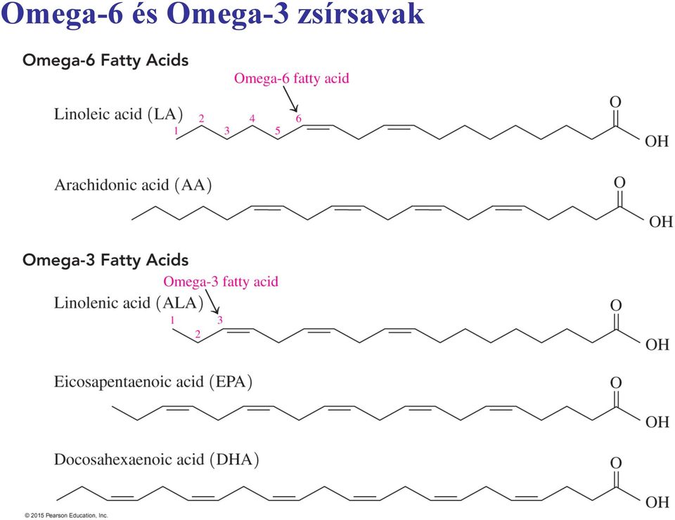 zsírsavak