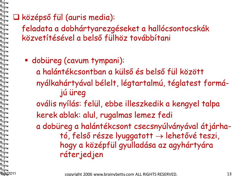 ebbe illeszkedik a kengyel talpa kerek ablak: alul, rugalmas lemez fedi a dobüreg a halántékcsont csecsnyúlványával átjárható, felső része