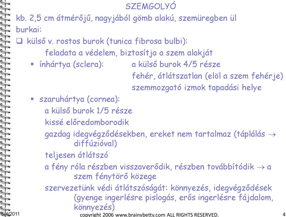 burok 4/5 része fehér, átlátszatlan (elöl a szem fehérje) szemmozgató izmok tapadási helye gazdag idegvégződésekben, ereket nem tartalmaz (táplálás diffúzióval) teljesen