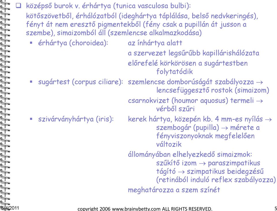 (szemlencse alkalmazkodása) érhártya (choroidea): az ínhártya alatt a szervezet legsűrűbb kapillárishálózata előrefelé körkörösen a sugártestben folytatódik sugártest (corpus ciliare): szemlencse