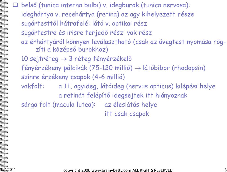 réteg fényérzékelő fényérzékeny pálcikák (75-120 millió) látóbíbor (rhodopsin) színre érzékeny csapok (4-6 millió) vakfolt: sárga folt (macula lutea): a II.