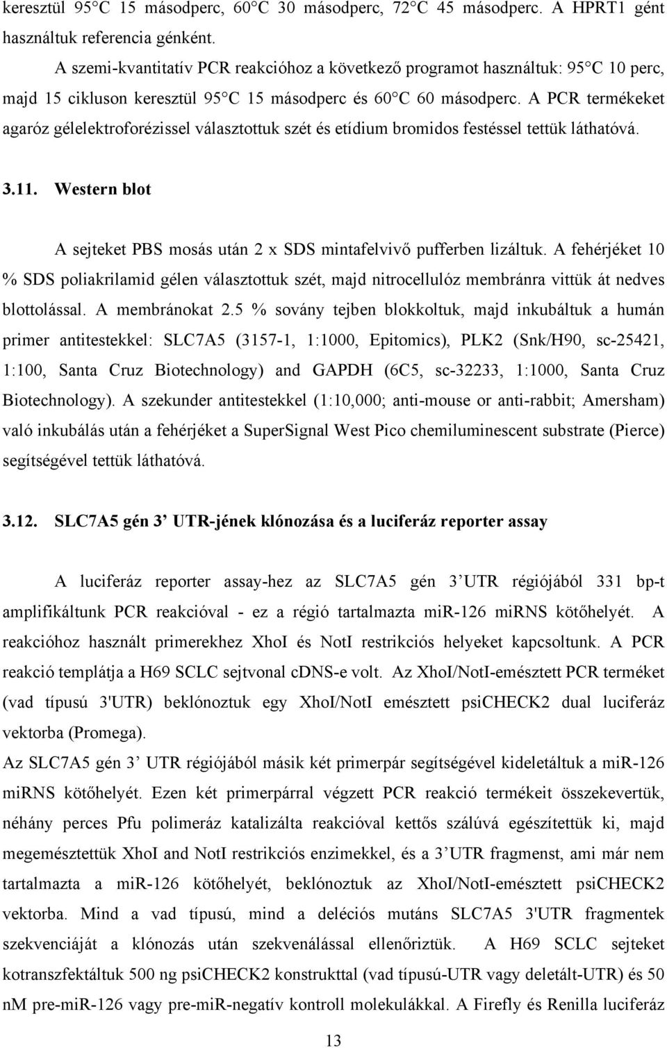 A PCR termékeket agaróz gélelektroforézissel választottuk szét és etídium bromidos festéssel tettük láthatóvá. 3.11. Western blot A sejteket PBS mosás után 2 x SDS mintafelvivő pufferben lizáltuk.