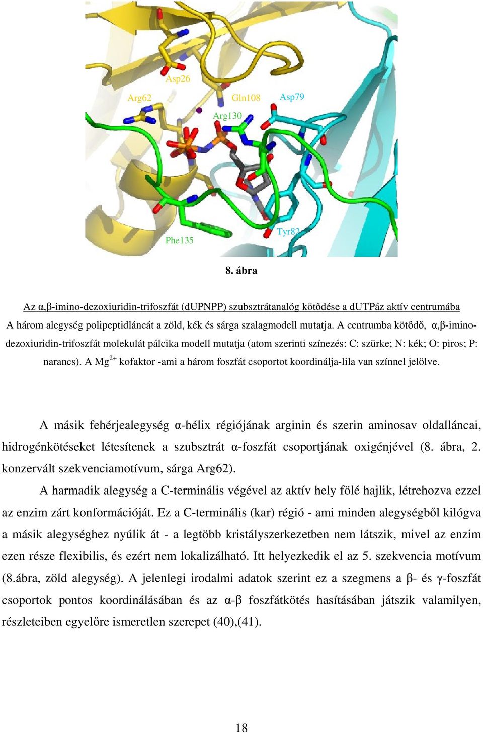 A centrumba köt d,, -iminodezoxiuridin-trifoszfát molekulát pálcika modell mutatja (atom szerinti színezés: C: szürke; N: kék; O: piros; P: narancs).