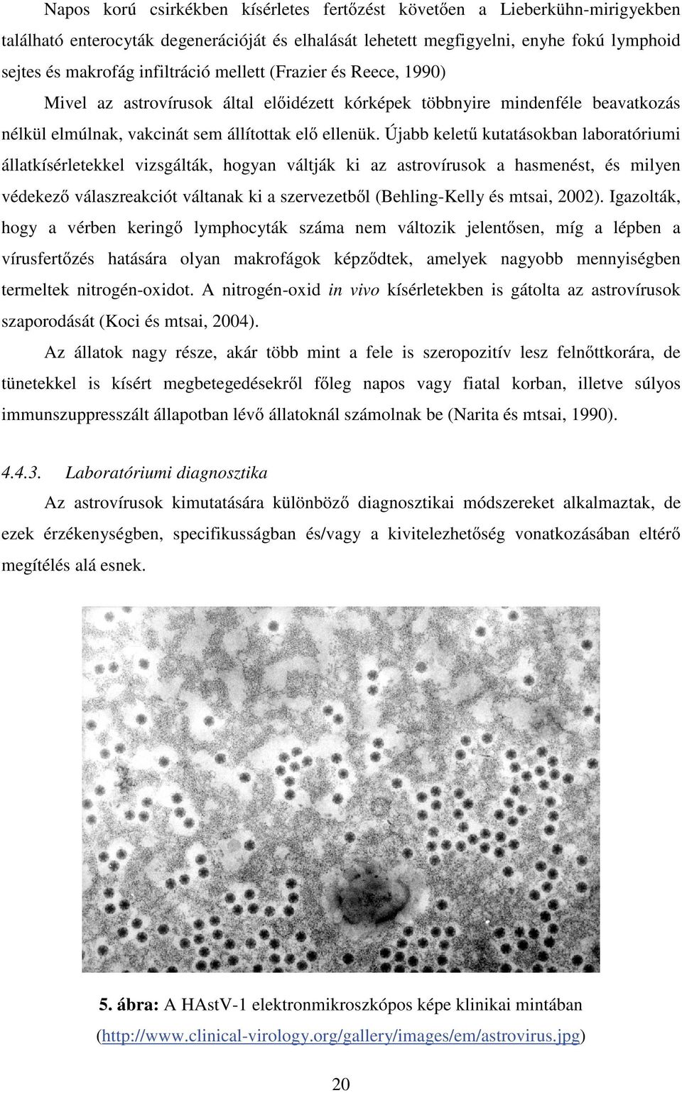 Újabb kelet kutatásokban laboratóriumi állatkísérletekkel vizsgálták, hogyan váltják ki az astrovírusok a hasmenést, és milyen védekez válaszreakciót váltanak ki a szervezetb l (Behling-Kelly és