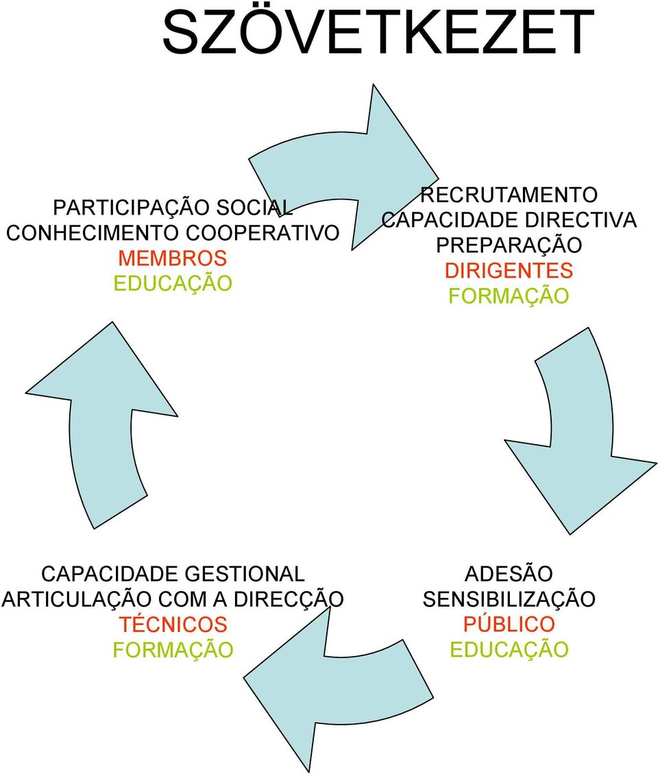 PREPARAÇÃO DIRIGENTES FORMAÇÃO CAPACIDADE GESTIONAL