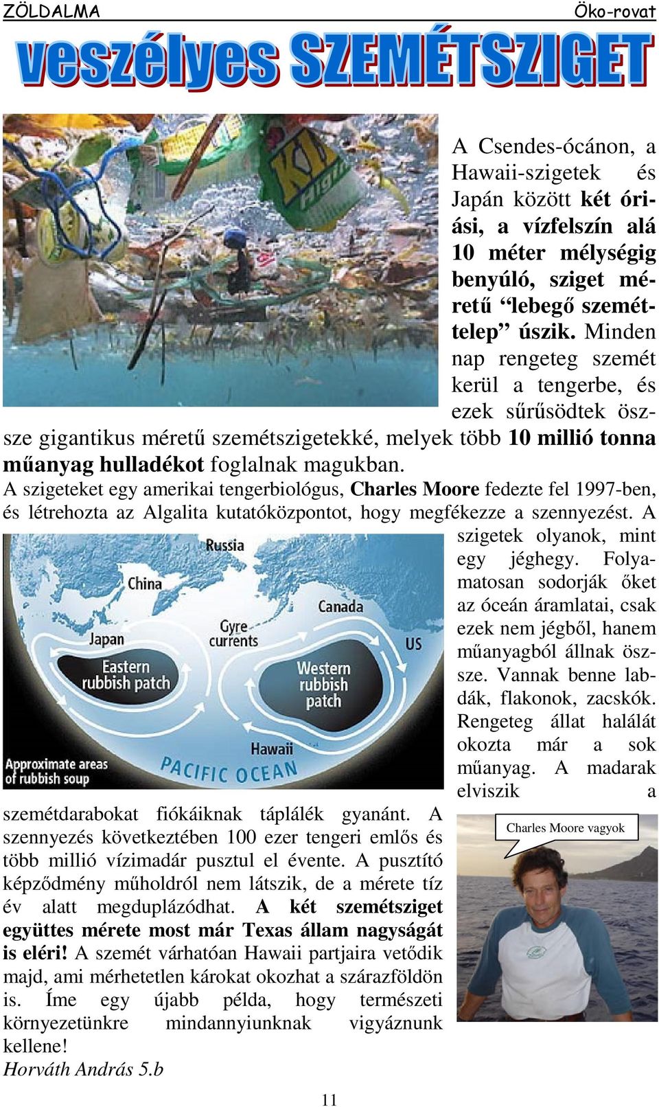 A szigeteket egy amerikai tengerbiológus, Charles Moore fedezte fel 1997-ben, és létrehozta az Algalita kutatóközpontot, hogy megfékezze a szennyezést. A szigetek olyanok, mint egy jéghegy.