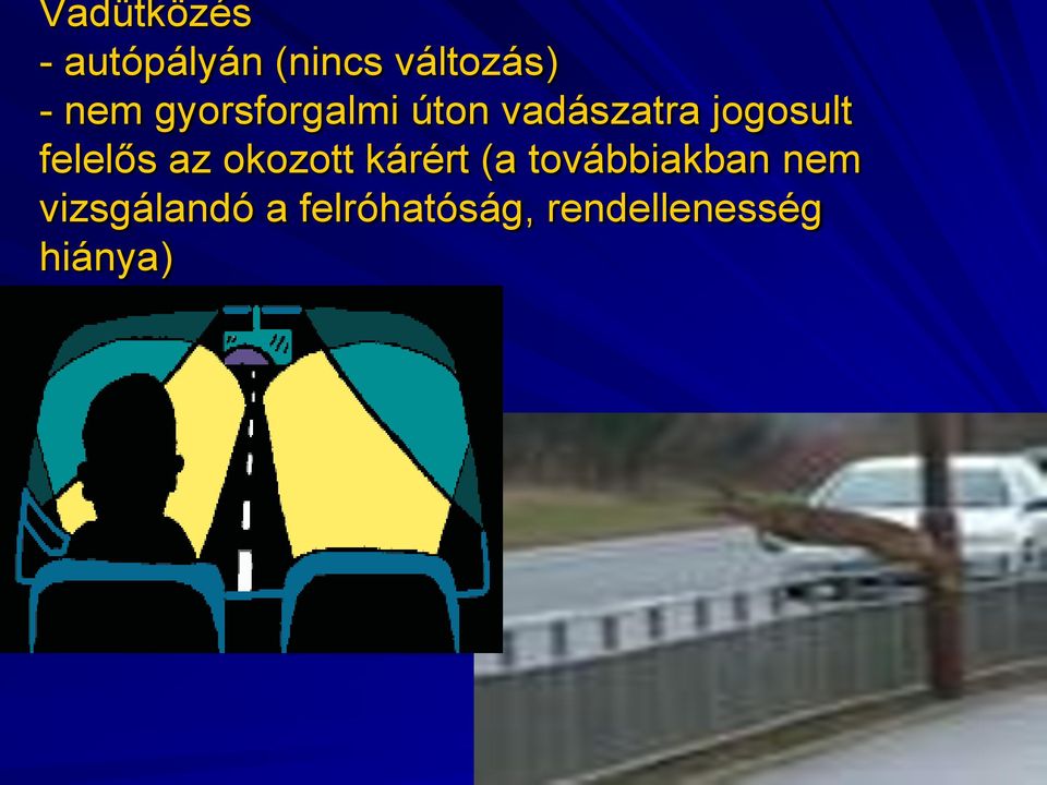 felelős az okozott kárért (a továbbiakban nem