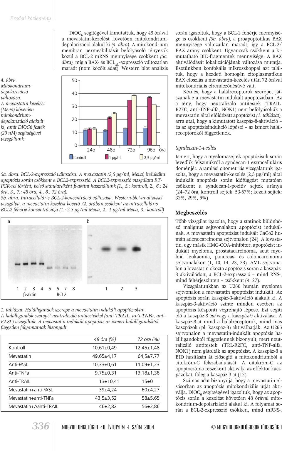 mevastatin-kezelést követôen mitokondriumdepolarizáció alakul ki (4. ábra). A mitokondrium membrán permeabilitását befolyásoló tényezôk közül a BCL-2 mrns mennyisége csökkent (5a.