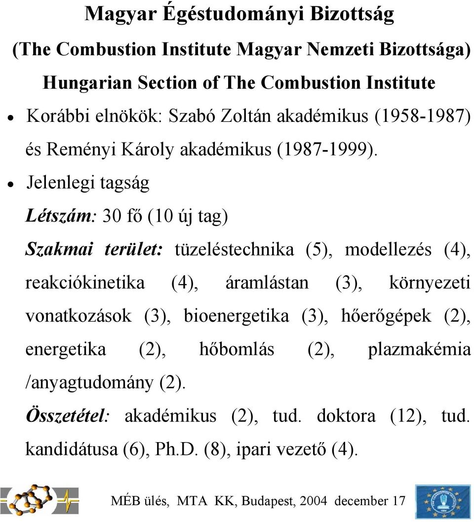 Jelenlegi tagság Létszám: 30 fő (10 új tag) Szakmai terület: tüzeléstechnika (5), modellezés (4), reakciókinetika (4), áramlástan (3), környezeti