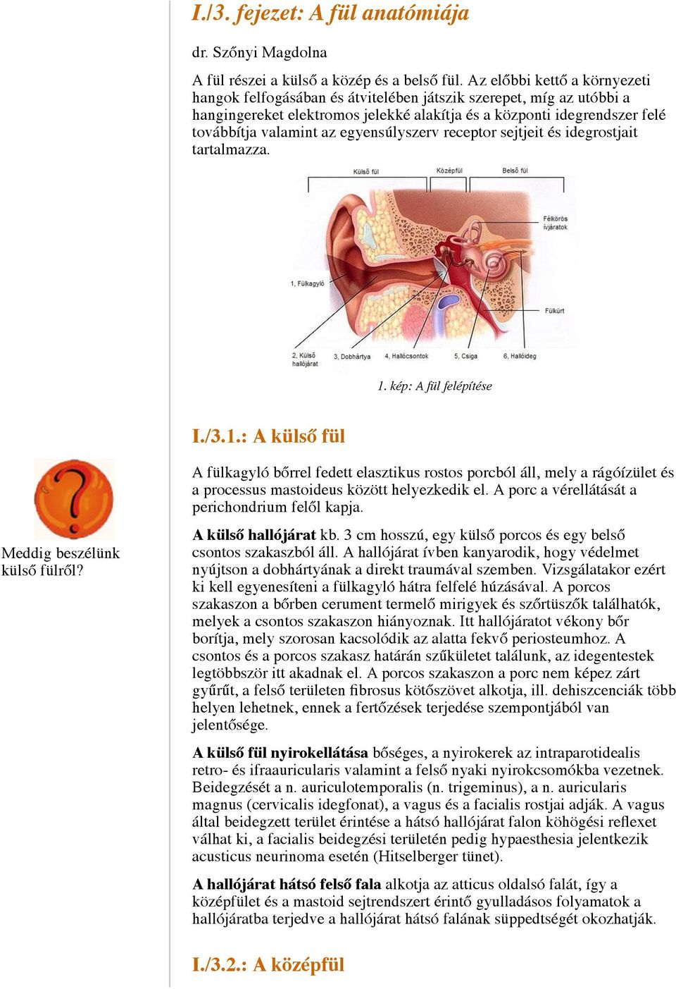 egyensúlyszerv receptor sejtjeit és idegrostjait tartalmazza. 1. kép: A fül felépítése I./3.1.: A külső fül Meddig beszélünk külső fülről?