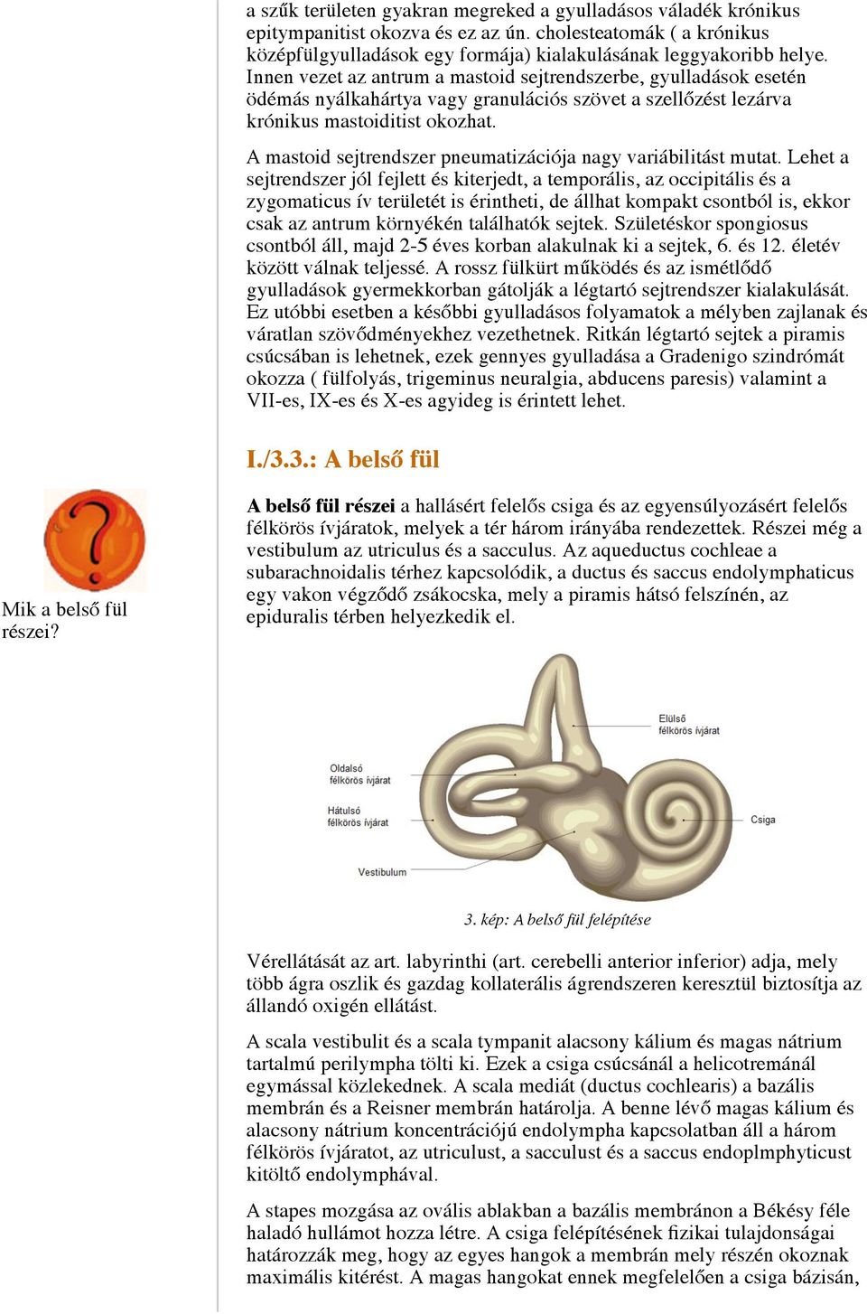 A mastoid sejtrendszer pneumatizációja nagy variábilitást mutat.