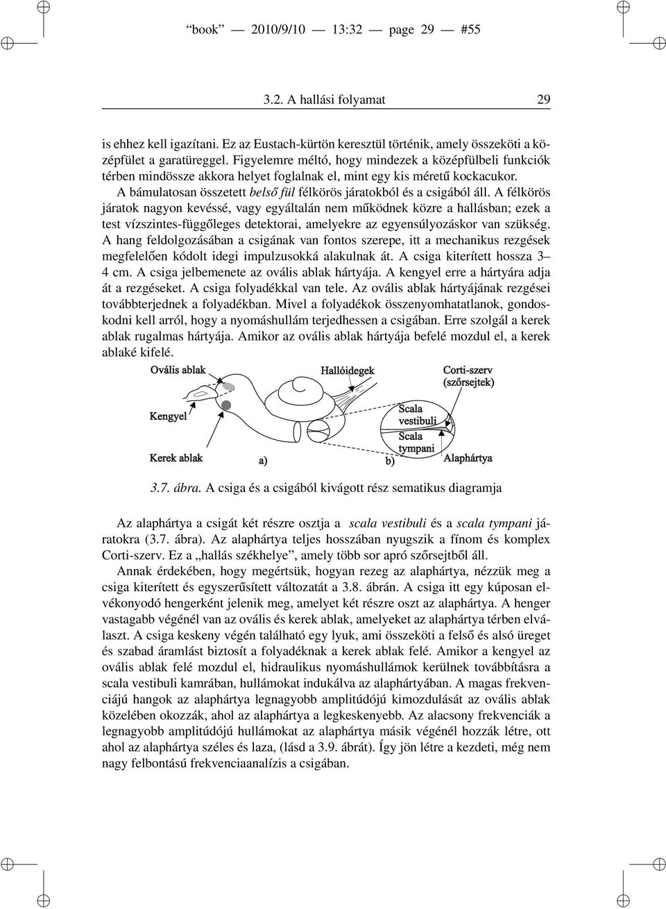 A bámulatosan összetett belső fül félkörös járatokból és a csigából áll.