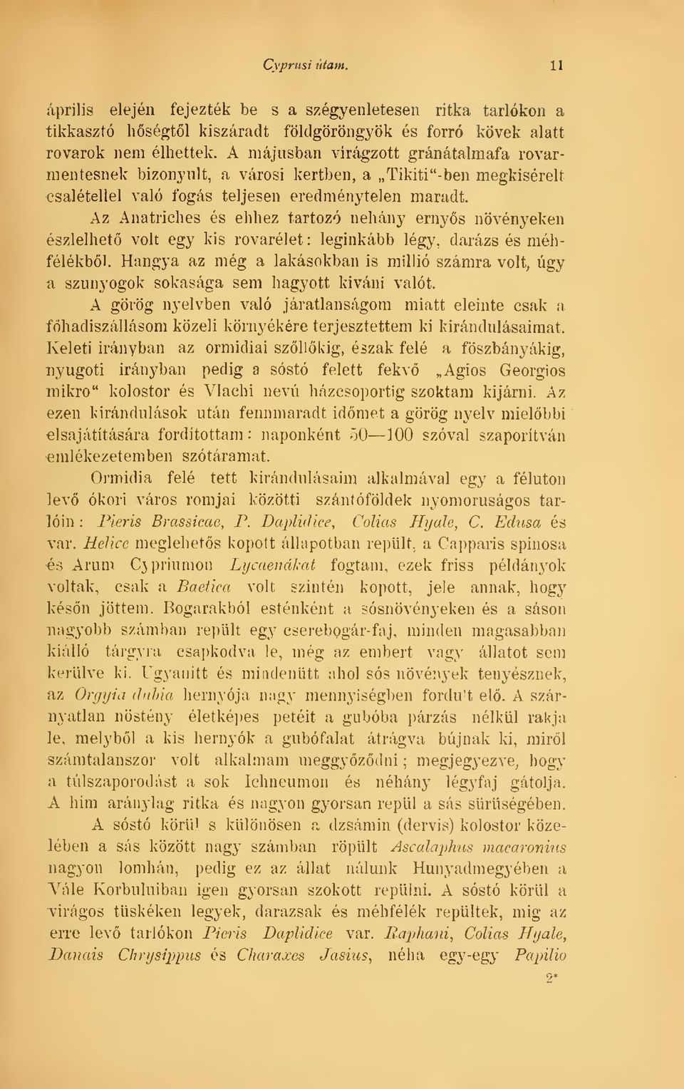 Az Anatriches és ehhez tartozó néhány ernys növényeken észlelhet volt egy kis rovarélet : leginkább légy, darázs és méhfélékbl.