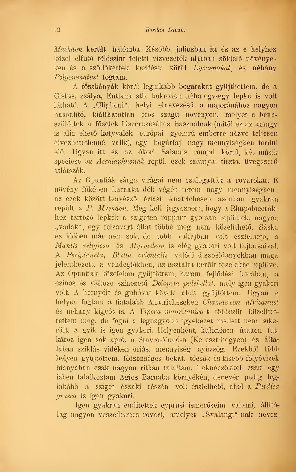 A fszbányák körül leginkább bogarakat gyjthettem, de a Cistus, zsálya, Entiana stb. bokrokon néha egy-egy lepke is volt látható.