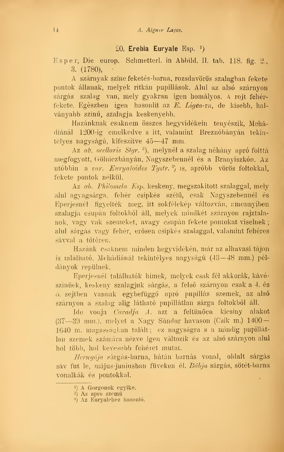 \ rojt fehérfekete. Egészben igen hasonlít az E. Ligea-n\, de kisebb, halványabb szín, szalagja keskenyel)b.