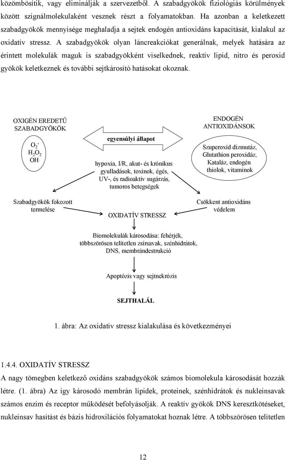 A szabadgyökök olyan láncreakciókat generálnak, melyek hatására az érintett molekulák maguk is szabadgyökként viselkednek, reaktív lipid, nitro és peroxid gyökök keletkeznek és további sejtkárosító