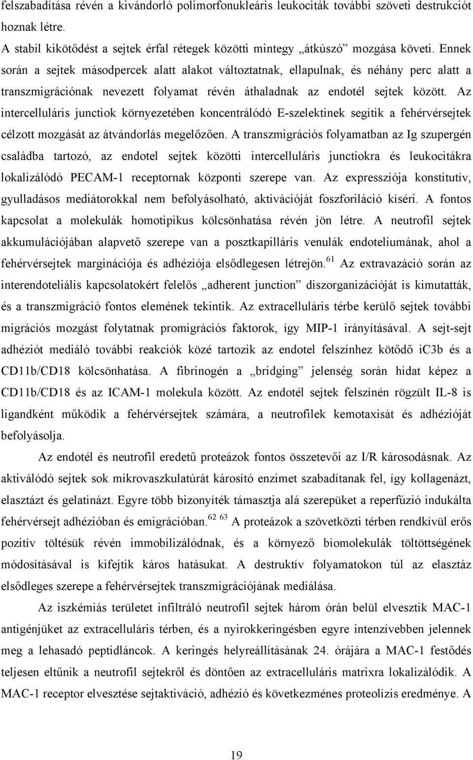 Az intercelluláris junctiok környezetében koncentrálódó E-szelektinek segítik a fehérvérsejtek célzott mozgását az átvándorlás megelőzően.