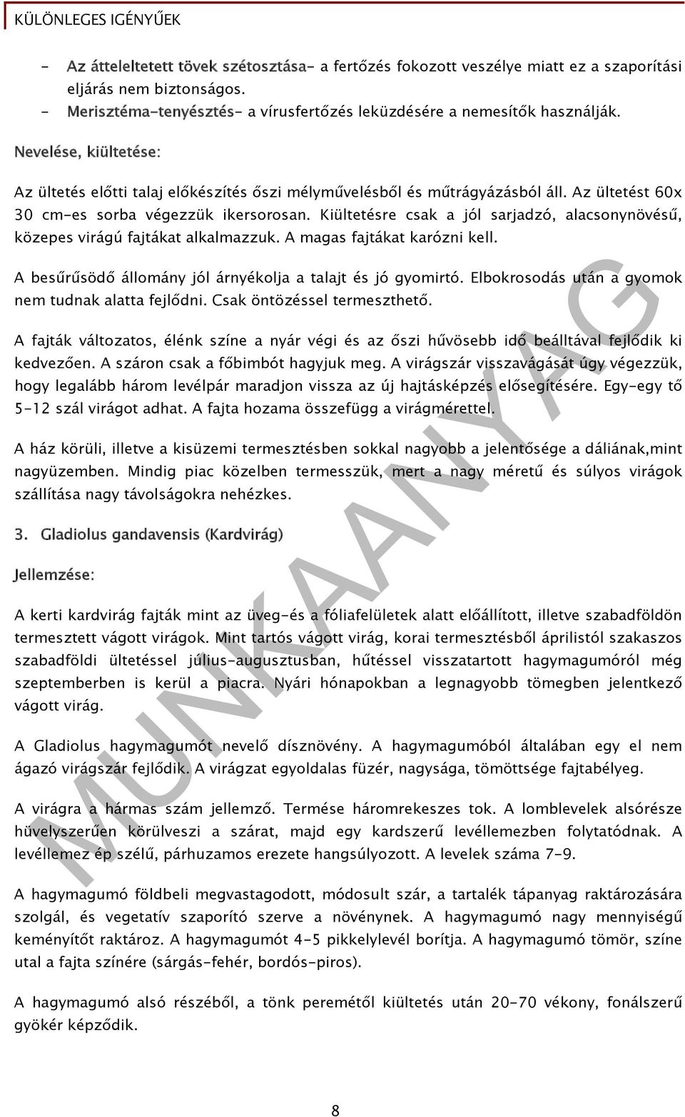 Kiültetésre csak a jól sarjadzó, alacsonynövésű, közepes virágú fajtákat alkalmazzuk. A magas fajtákat karózni kell. A besűrűsödő állomány jól árnyékolja a talajt és jó gyomirtó.