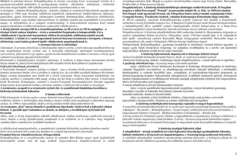 A térségben döntıen Kiskunfélegyházán jelentıs számban és termeléssel képviseltetik magukat más iparágak is.