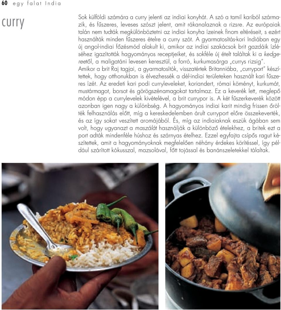 A gyarmatosítás-kori Indiában egy új angol-indiai fôzésmód alakult ki, amikor az indiai szakácsok brit gazdáik ízléséhez igazították hagyományos receptjeiket, és sokféle új ételt találtak ki a