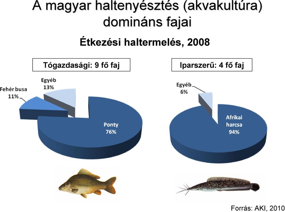 haltermelés, 2008 Tógazdasági: 9 fő faj