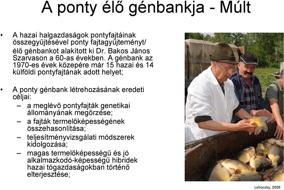 A génbank az 1970-es évek közepére már 15 hazai és 14 külföldi pontyfajtának adott helyet; A ponty génbank létrehozásának eredeti céljai: a