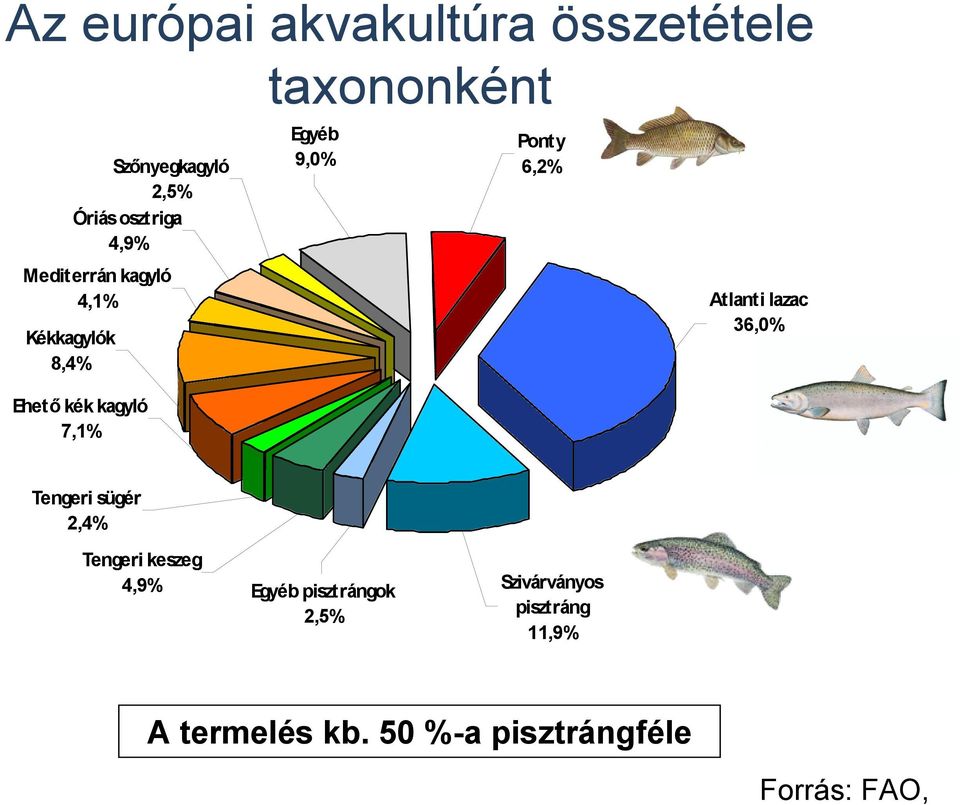 Ponty 6,2% Atlanti lazac 36,0% Tengeri sügér 2,4% Tengeri keszeg 4,9% Egyéb