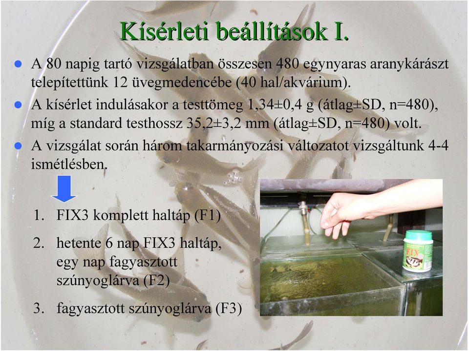 A kísérlet indulásakor a testtömeg 1,34±0,4 g (átlag±sd, n=480), míg a standard testhossz 35,2±3,2 mm (átlag±sd, n=480)