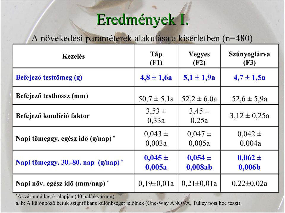 Befejező testhossz (mm) Befejező kondíció faktor 50,7 ± 5,1a 52,2 ± 6,0a 52,6 ± 5,9a 3,53 ± 0,33a Napi tömeggy.