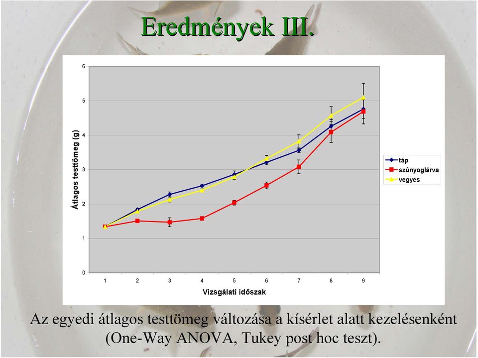 vegyes 1 0 1 2 3 4 5 6 7 8 9 Vizsgálati időszak Az