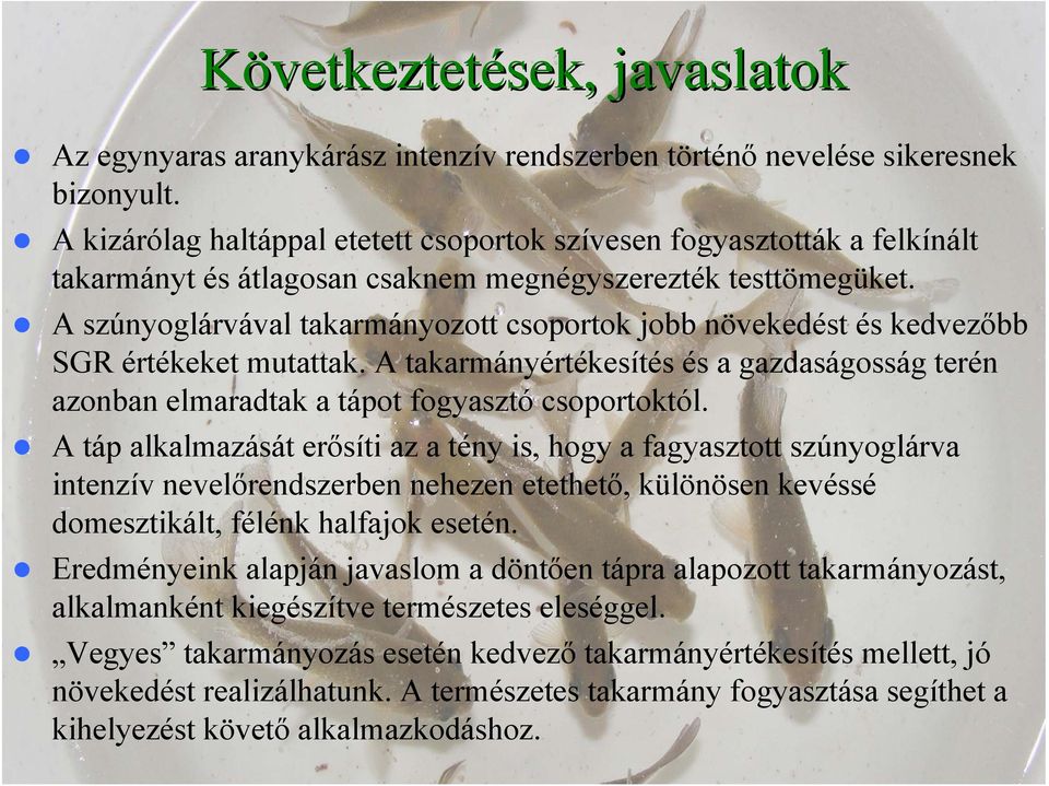 A szúnyoglárvával takarmányozott csoportok jobb növekedést és kedvezőbb SGR értékeket mutattak. A takarmányértékesítés és a gazdaságosság terén azonban elmaradtak a tápot fogyasztó csoportoktól.