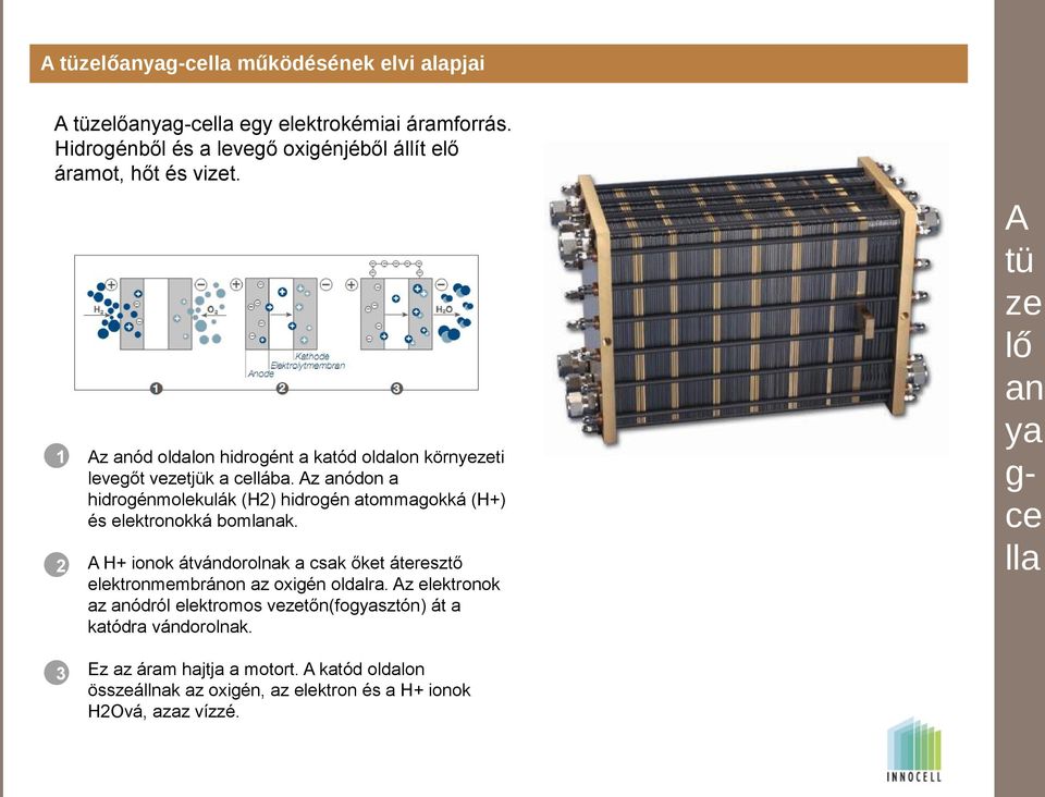 Az anódon a hidrogénmolekulák (H2) hidrogén atommagokká (H+) és elektronokká bomlanak.