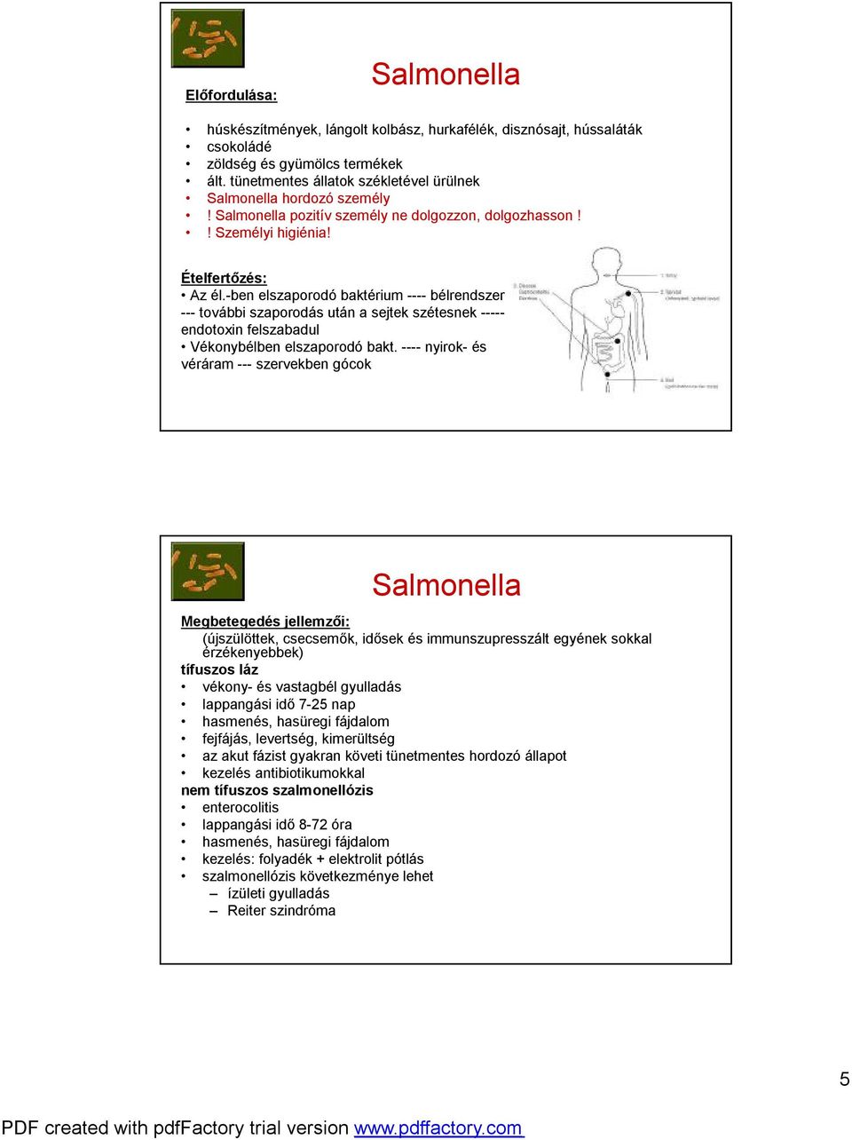 -ben elszaporodó baktérium ---- bélrendszer --- további szaporodás után a sejtek szétesnek ----- endotoxin felszabadul Vékonybélben elszaporodó bakt.