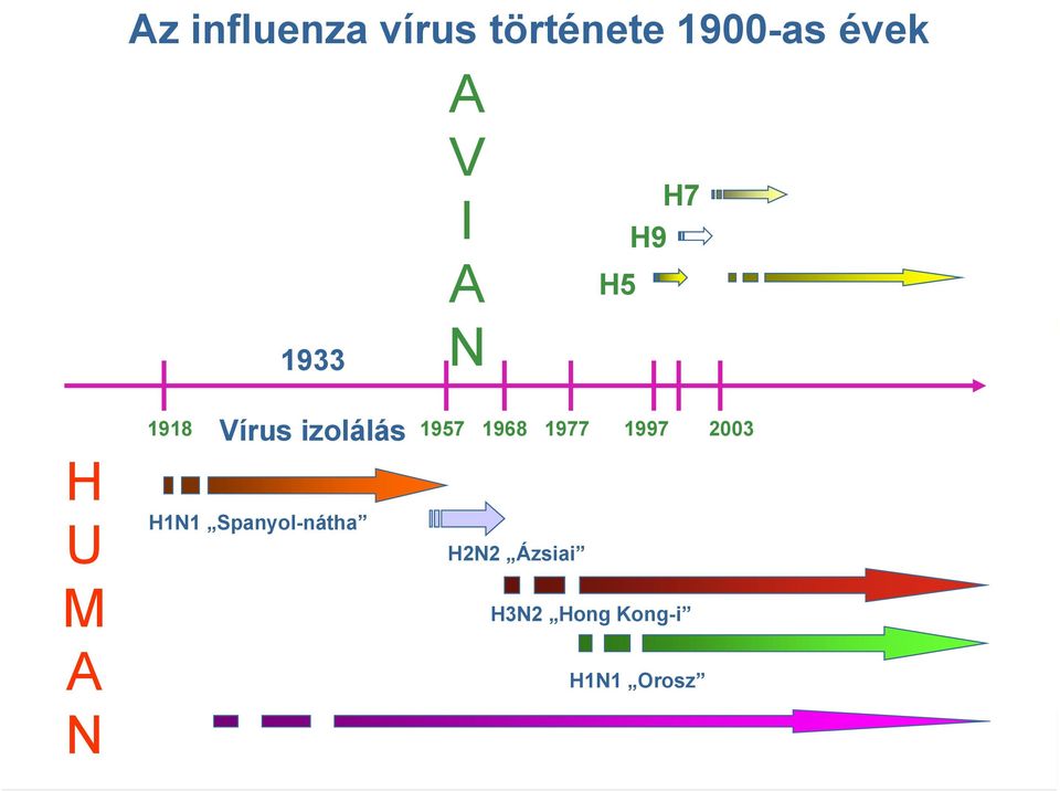 izolálás 1918 1957 1968 1977 1997 2003 H1N1