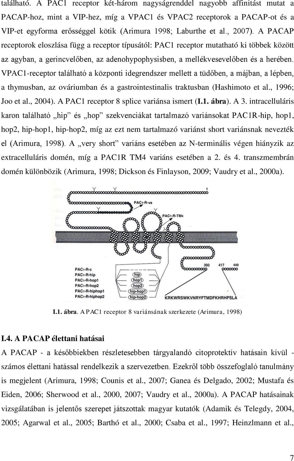 et al., 2007). A PACAP receptorok eloszlása függ a receptor típusától: PAC1 receptor mutatható ki többek között az agyban, a gerincvelőben, az adenohypophysisben, a mellékvesevelőben és a herében.