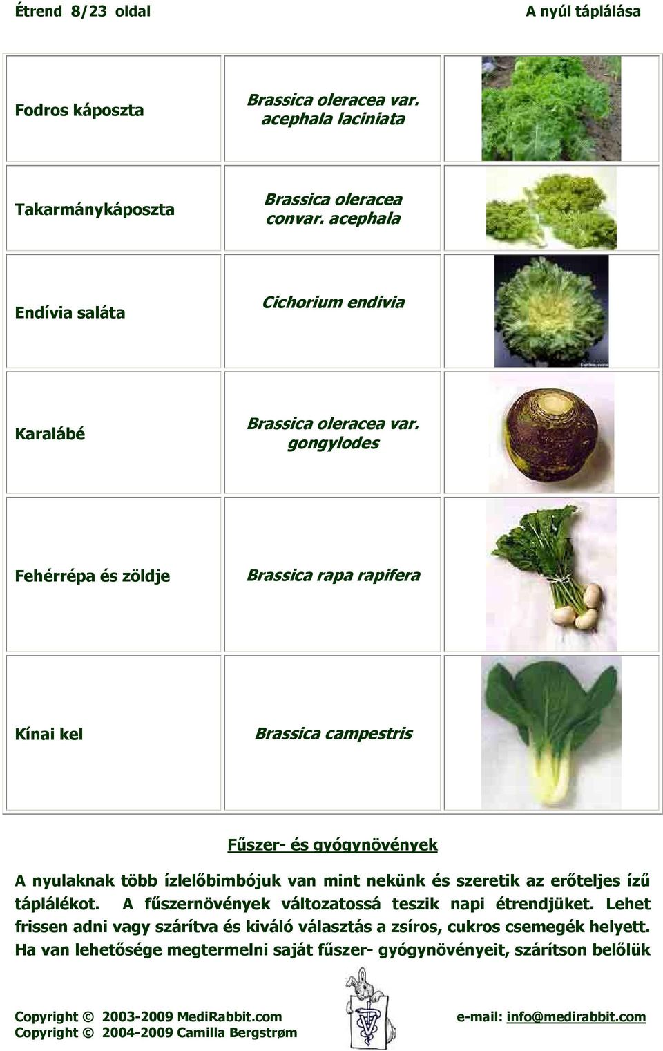 gongylodes Fehérrépa és zöldje Brassica rapa rapifera Kínai kel Brassica campestris Fűszer- és gyógynövények A nyulaknak több ízlelőbimbójuk van mint