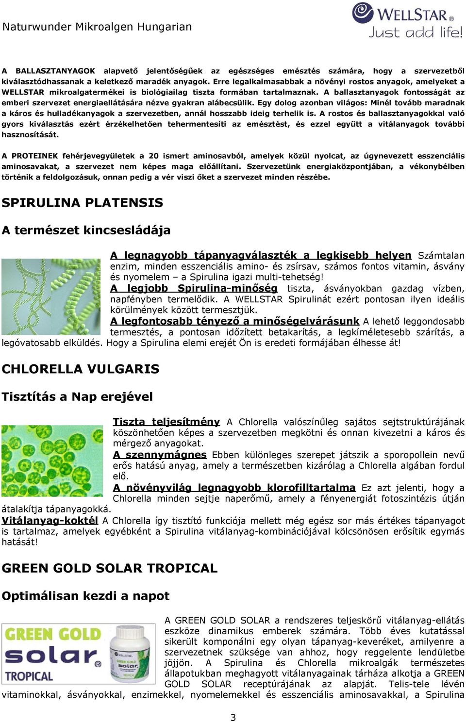 A ballasztanyagok fontosságát az emberi szervezet energiaellátására nézve gyakran alábecsülik.