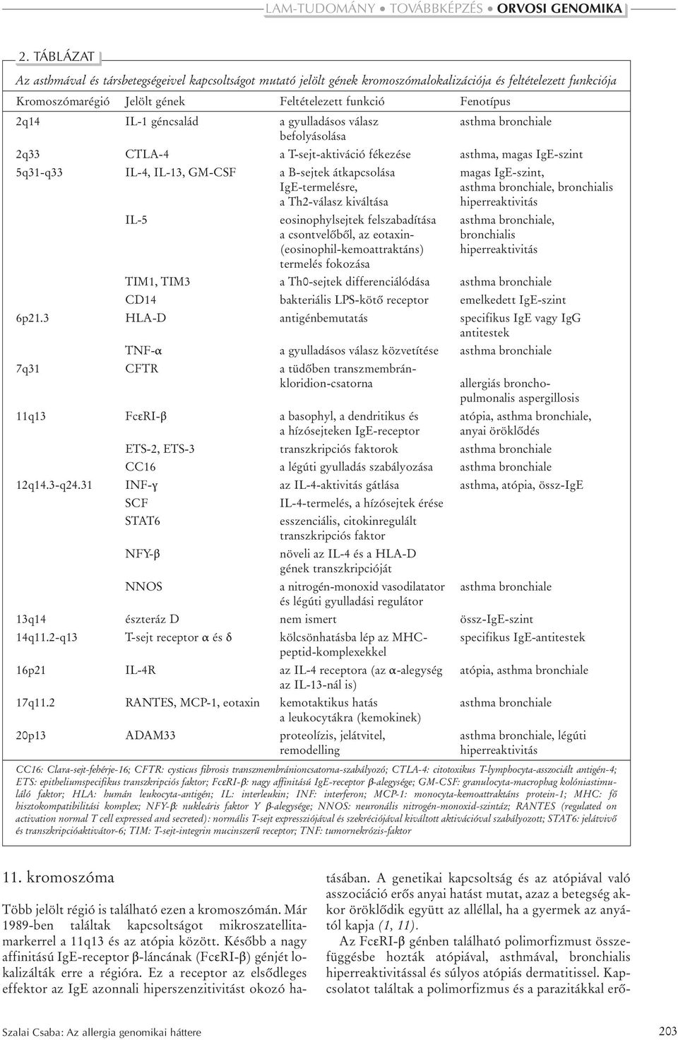 IgE-szint, IgE-termelésre, asthma bronchiale, bronchialis a Th2-válasz kiváltása hiperreaktivitás IL-5 eosinophylsejtek felszabadítása asthma bronchiale, a csontvelõbõl, az eotaxin- bronchialis