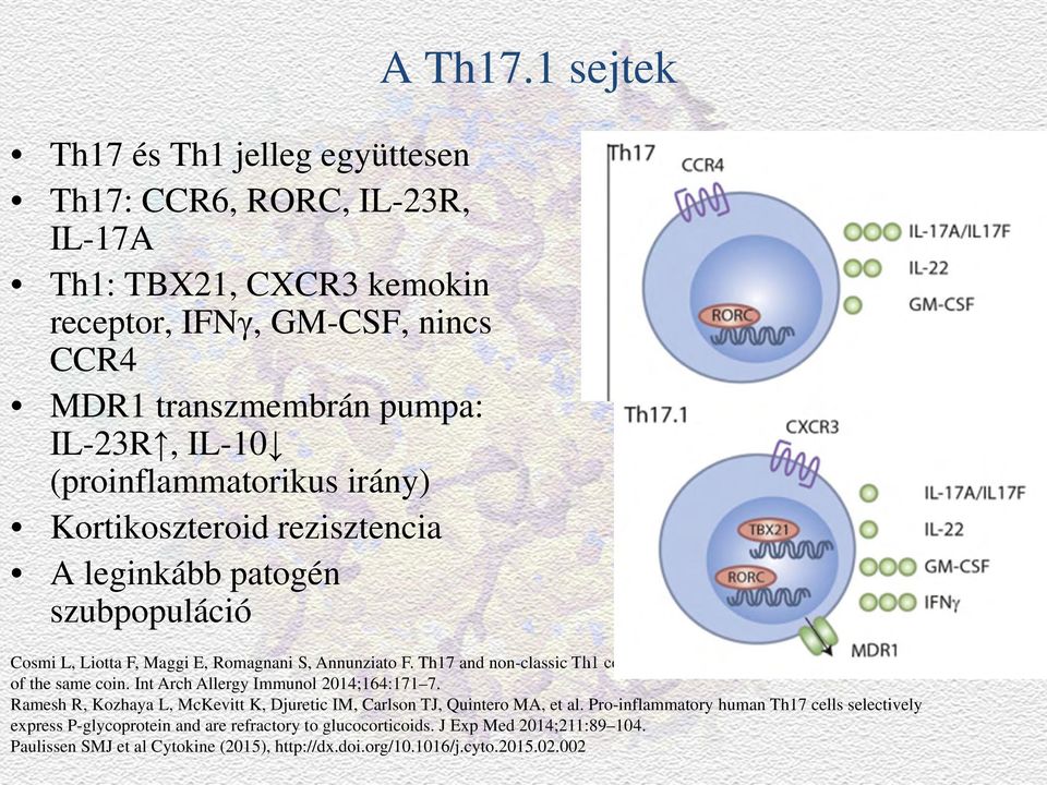 Th17 and non-classic Th1 cells chronic inflammatory disorders: two sides of the same coin. Int Arch Allergy Immunol 2014;164:171 7.