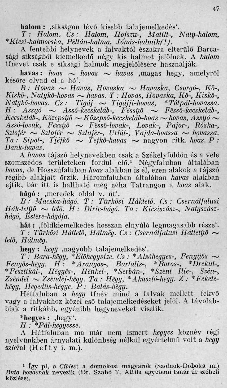 havas : hoas ~ hovas ~ hauas,magas hegy, amelyről későre olvad el a hó'. B : Hovas ~ Havas, Hovaska ~ Havaska, Csorgó-, Kő-, Kiskő-, Natykő-hovas ~ havas.