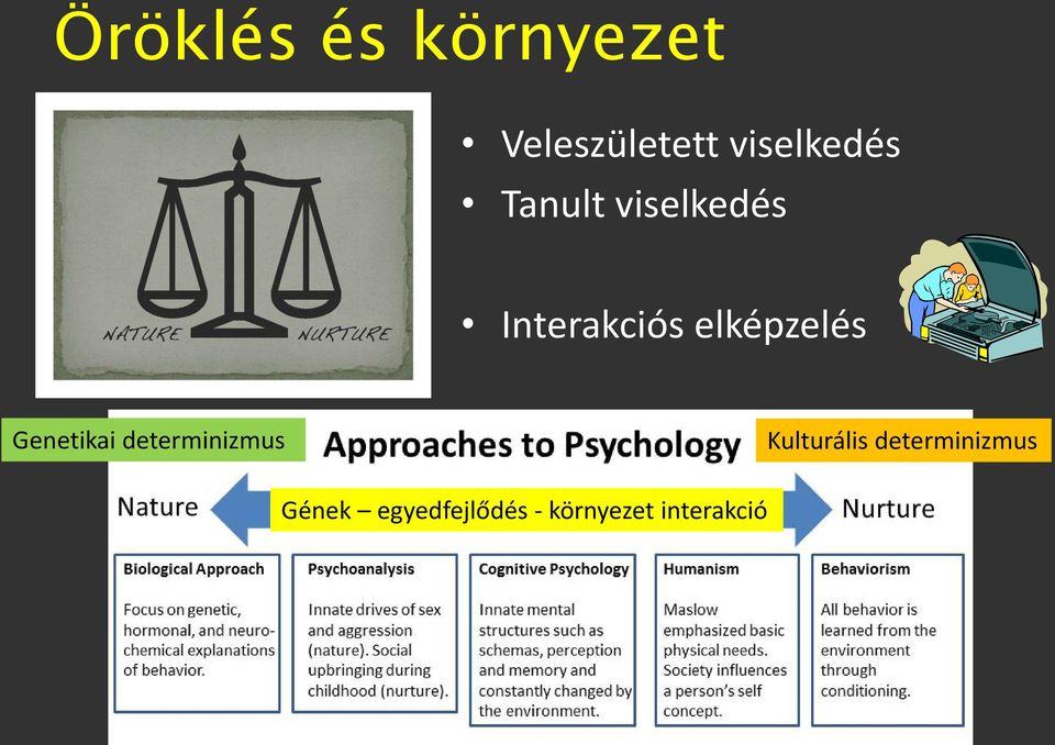 elképzelés Genetikai determinizmus